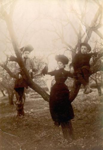 Marie-Louise 2A, Louise 5, Raoul 2